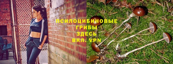 стафф Бугульма
